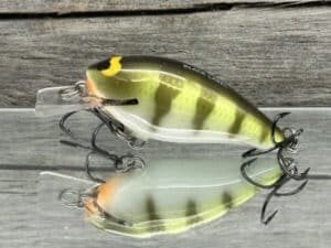 Black Label Balsa - BL 1.0 - Balsa Squarebill - Faded Perch color