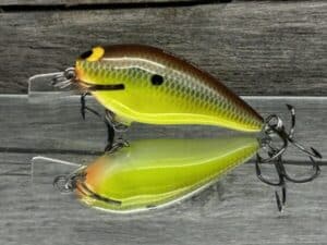 Black Label Balsa - BL 1.0 - Balsa Squarebill - River Bream color