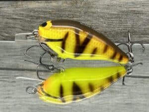 Black Label Balsa - BL 1.0 - Balsa Squarebill - Spring Tiger color