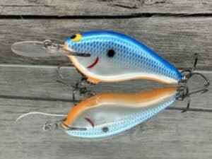 Black Label Balsa - Shiver 7 - Custom Balsa Crankbait - Blue Back Pearl Orange Belly color