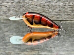 Black Label Balsa - Little Cliffie - Signature Series Crankbait - Foiled Copper Craw color