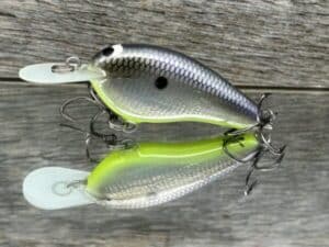 Black Label Balsa - Little Cliffie - Signature Series Crankbait - Foiled American Shad Chartreuse Belly color