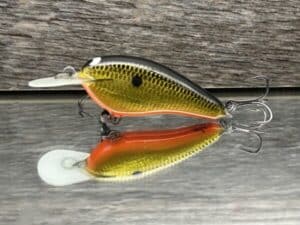 Black Label Balsa - Little Cliffie - Signature Series Crankbait - Gold Foil Orange Belly color
