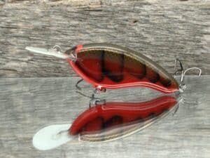 Black Label Balsa - The .38 - Balsa Crankbait - Habanero color