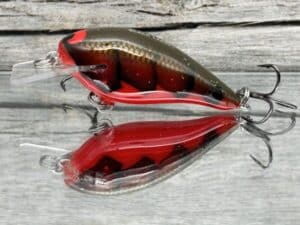 Black Label Balsa - BL 1.0 - Balsa Squarebill - Habanero color