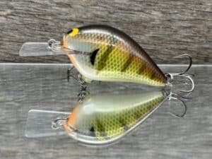 Black Label Balsa - Stump Knocker - Custom Balsa Squarebill - Bold Bluegill color