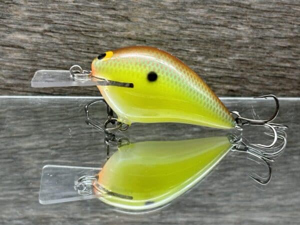 Black Label Balsa - Stump Knocker - Custom Balsa Squarebill - River Bream color