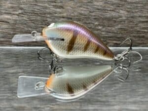Black Label Balsa - Stump Knocker - Custom Balsa Squarebill - JB's Gill color