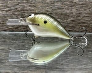 Black Label Balsa - Stump Knocker - Custom Balsa Squarebill - Money Shad color