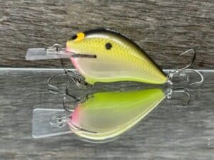 Black Label Balsa - Stump Knocker - Custom Balsa Squarebill - Bone Shad color