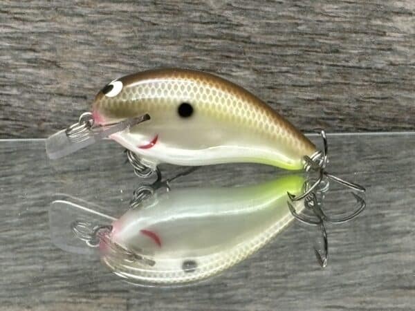 Black Label Balsa - Badger SR Squarebill - Custom Balsa Crankbait - Cliff's Secret color