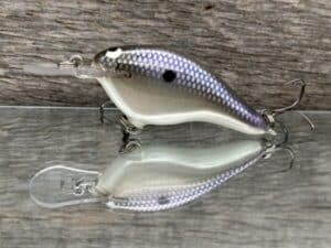 Black Label Balsa - Shiver 5 - Custom Balsa Crankbait - American Shad color