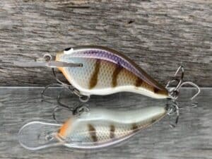Black Label Balsa - Shiver 5 - Custom Balsa Crankbait - JB's Gill color