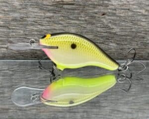 Black Label Balsa - Shiver 5 - Custom Balsa Crankbait - Bone Shad color