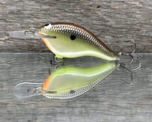 Black Label Balsa - Shiver 5 - Custom Balsa Crankbait - Slick color