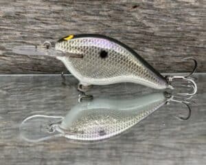 Black Label Balsa - Shiver 5 - Custom Balsa Crankbait - Gizzard Shad Foil color