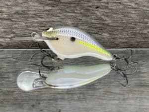 Black Label Balsa - Shiver 5 - Custom Balsa Crankbait - Chartreuse Shad color