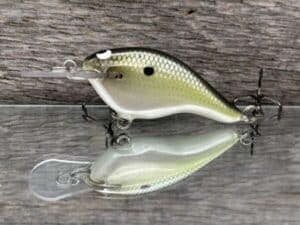 Black Label Balsa - Shiver 5 - Custom Balsa Crankbait - Money Shad color