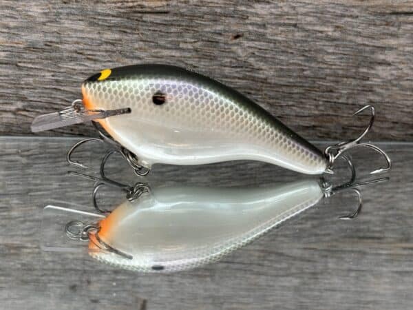Black Label Balsa - K III Squarebill - Custom Balsa Crankbait - Gizzard Shad Pearl color
