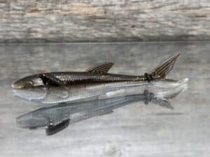 Black Label Custom Soft Plastics - Hover Player Shad 4" - Gizzard Shad 6ct
