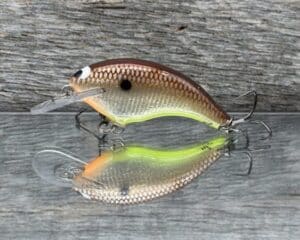 Black Label Balsa - Razor Jr Signature Series - Balsa Crankbait - Foiled Dirty Shad color