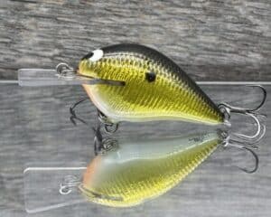 Black Label Balsa - Stump Knocker Signature Series- Custom Balsa Squarebill - Gold Foil color