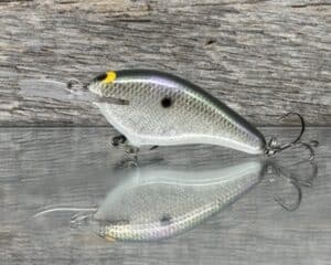 Black Label Balsa - Shiver 7 - Custom Balsa Crankbait - Gizzard Shad Foil color