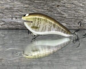 Black Label Balsa - Shiver 7 - Custom Balsa Crankbait - Baby Bluegill color