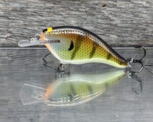 Black Label Balsa - Shiver 7 Shallow - Custom Balsa Crankbait - Bold Bluegill color